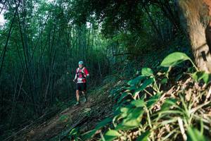 BIB: 
                            <button type="button" onclick="openModal(28124279)" class="btn btn-primary btn-sm float-right btn-popup" data-toggle="modal" data-target=".modal-high-quality">
                        <i class="fas fa-shopping-cart"></i> Add to Cart
                    </button>
                                            <button type="button" onclick="isThisMe(28124279, true)" class="btn btn-success btn-sm float-right btn-popup btn-isme hidden" data-toggle="tooltip" data-placement="bottom" title="นี่คือรูปของคุณใช่ไหม คลิกที่นี่เพื่อเอาเข้าอัลบั้ม">
                        <i class="fas fa-plus"></i> Add to album
                    </button>
                    <button type="button" onclick="isThisMe(28124279, false)" class="btn btn-warning btn-sm float-right btn-popup btn-isnotme hidden">
                        <i class="fas fa-ban"></i> Remove from album
                    </button>